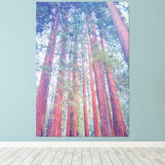 Giant Sequoias Canvas Afdruk (Insitu (Houten vloer))