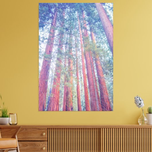 Giant Sequoias Canvas Afdruk (Insitu (Woonkamer))