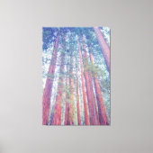 Giant Sequoias Canvas Afdruk (Voorkant)