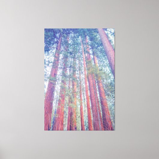 Giant Sequoias Canvas Afdruk (Voorkant)
