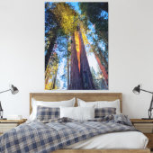 Giant Sequoias Canvas Afdruk (Insitu (Slaapkamer))