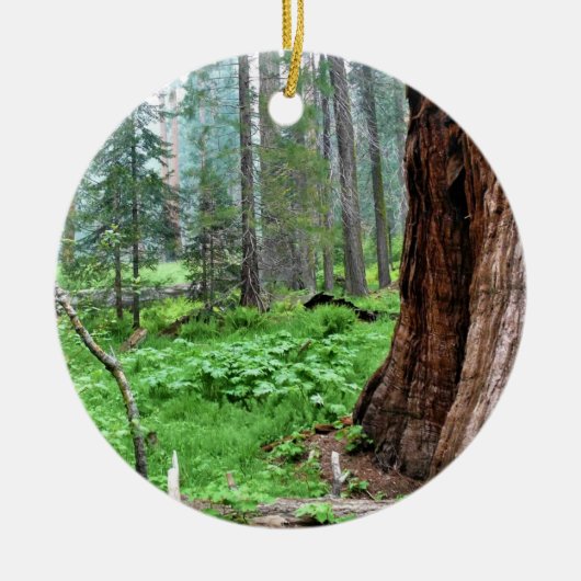 Giant Sequoias in Grant Grove, CA Keramisch Ornament (Voorkant)