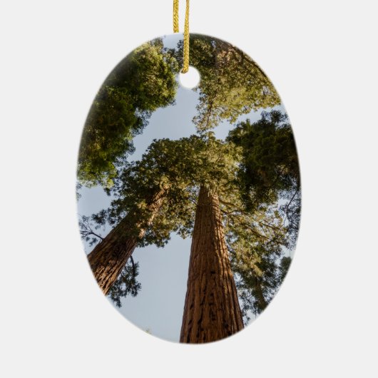 Giant Sequoias in Sequoia National Park Keramisch Ornament (Achterkant)