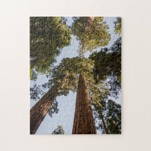 Giant Sequoias in Sequoia National Park Legpuzzel (Verticaal)