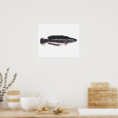 Giant Snakehead Poster (Keuken)