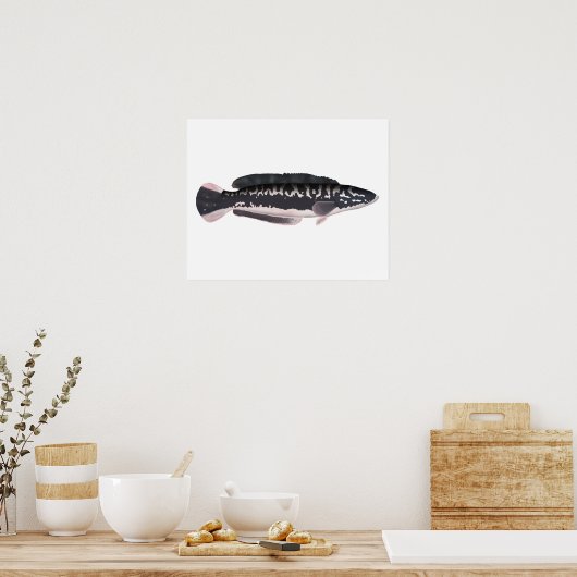 Giant Snakehead Poster (Keuken)