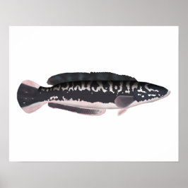 Giant Snakehead Poster