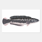 Giant Snakehead Rechthoekige Sticker (Voorkant)