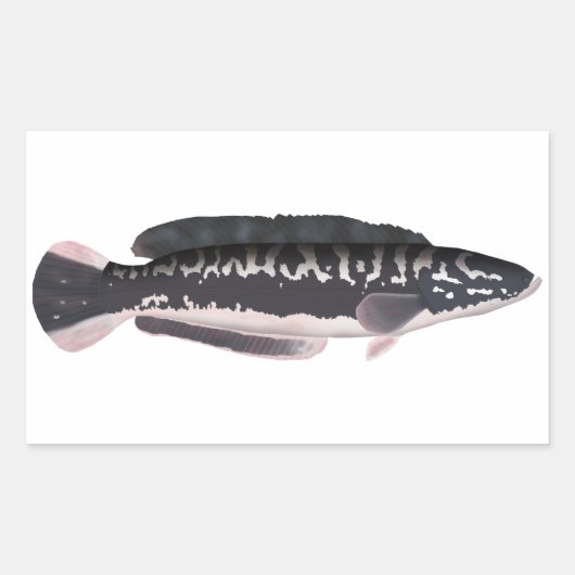 Giant Snakehead Rechthoekige Sticker (Voorkant)
