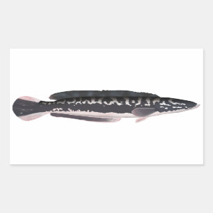 Giant Snakehead Rechthoekige Sticker