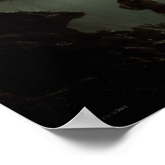 Giant Spider Entanglement Fantasy Art Poster (Hoek)