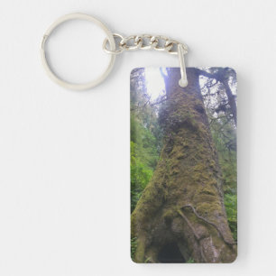 Giant Spruce Tree, Cape Perpetua, Oregon Sleutelhanger