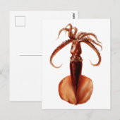 Giant Squid Briefkaart (Voorkant / Achterkant)
