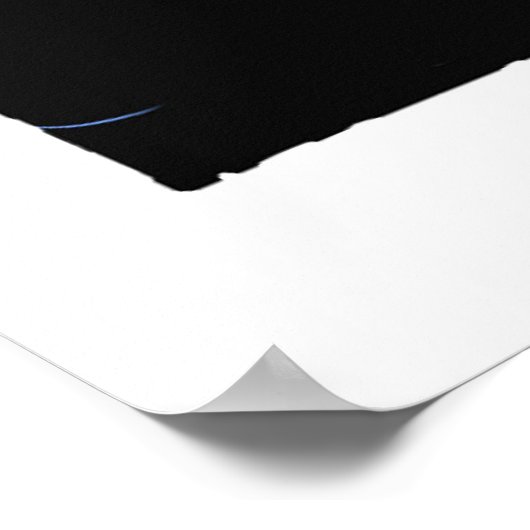 Giant Squid Poster (Hoek)