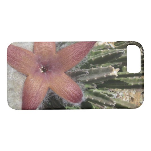 Giant Starfish Cactus Case-Mate iPhone Case (Achterkant (Horizontaal))