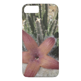 Giant Starfish Cactus iPhone 8/7 Hoesje