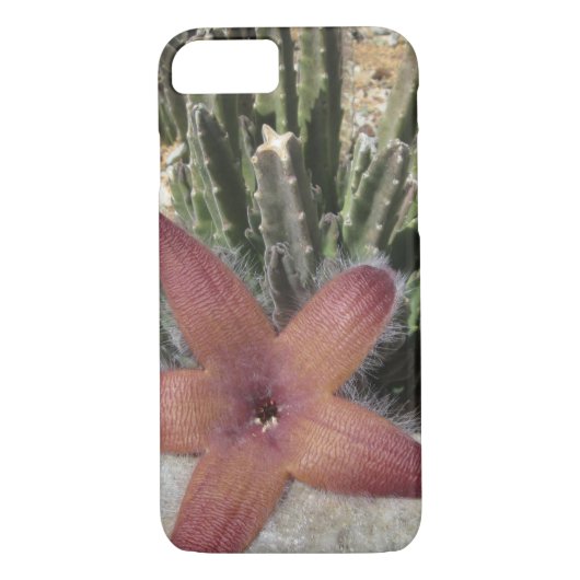 Giant Starfish Cactus Case-Mate iPhone Case (Achterkant)
