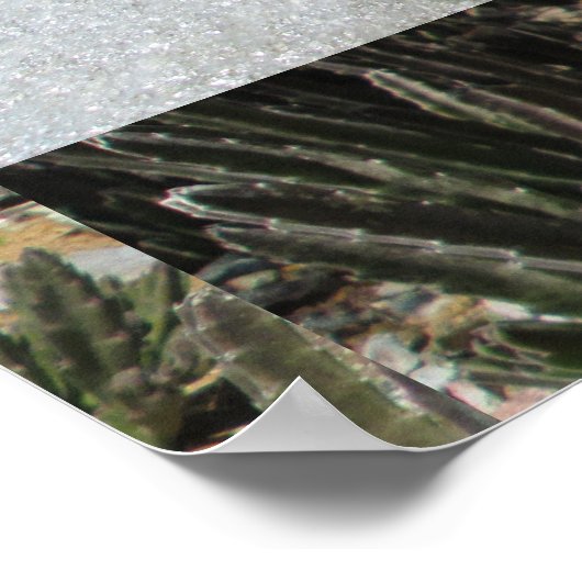 Giant Starfish Cactus Poster (Hoek)