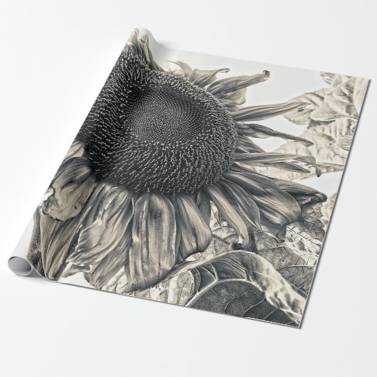Giant Sunflower Antiek Sepia Art Cadeaupapier (Uitgerold)