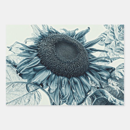 Giant Sunflower  Art Blauwgroen Blauwe ontkoppelin Inpakpapier Vel (Voorkant 2)