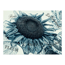 Giant Sunflower  Art Blauwgroen Blue Ephemera