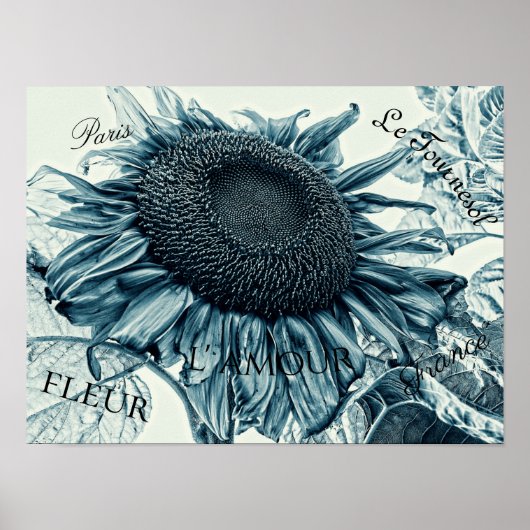 Giant Sunflower Art Blauwgroen Blue Ephemera Poster (Voorkant)