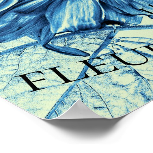 Giant Sunflower  Art Blue Green Script Poster (Hoek)