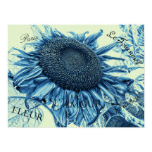 Giant Sunflower  Art Blue Green Script