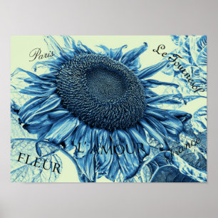 Giant Sunflower  Art Blue Green Script Poster