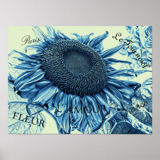 Giant Sunflower  Art Blue Green Script Poster (Voorkant)