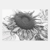 Giant Sunflower  Black and White Art Inpakpapier Vel (Voorkant)