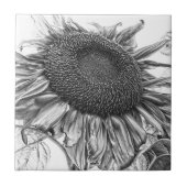 Giant Sunflower Black and White Art Tegeltje (Voorkant)