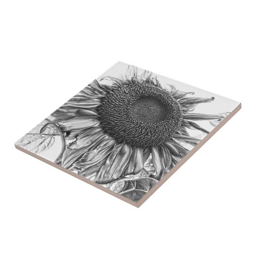 Giant Sunflower Black and White Art Tegeltje (Zijkant)