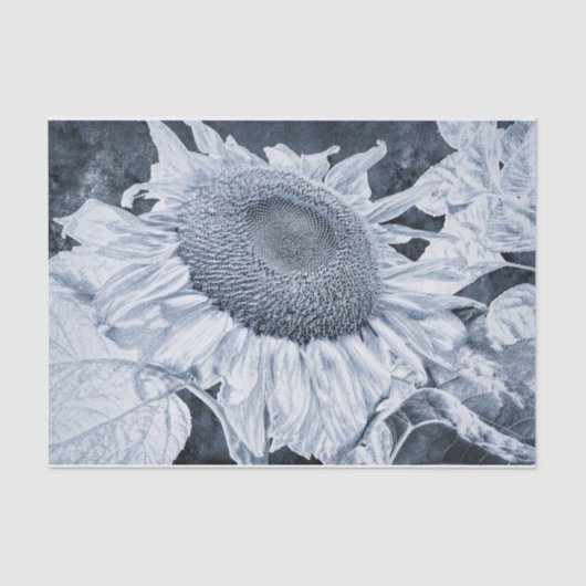 Giant Sunflower  Black and White Decoupage Tissuepapier (Voorkant)