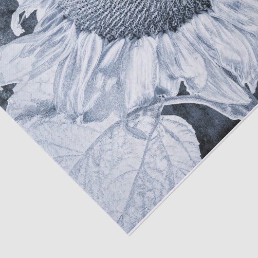 Giant Sunflower  Black and White Decoupage Tissuepapier (Detail)