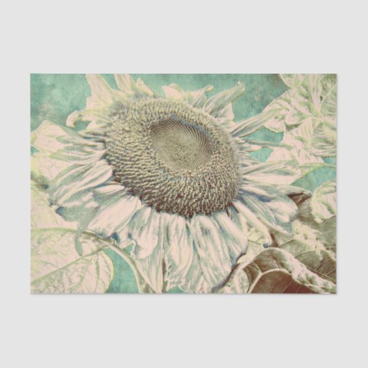 Giant Sunflower  Blauwgroen Pastel Decoupage Tissuepapier (Voorkant)