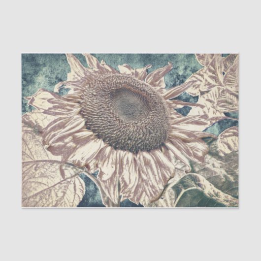 Giant Sunflower  Blauwgroen Sepia Art ontbinding Tissuepapier (Voorkant)
