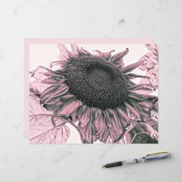Giant Sunflower  Blush Pink Decoupage Art