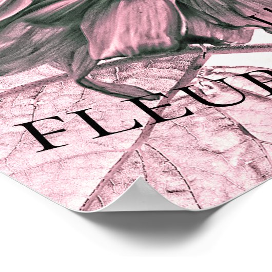 Giant Sunflower  Blush Pink Script Art Poster (Hoek)