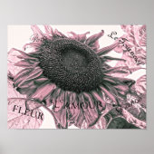 Giant Sunflower  Blush Pink Script Art Poster (Voorkant)
