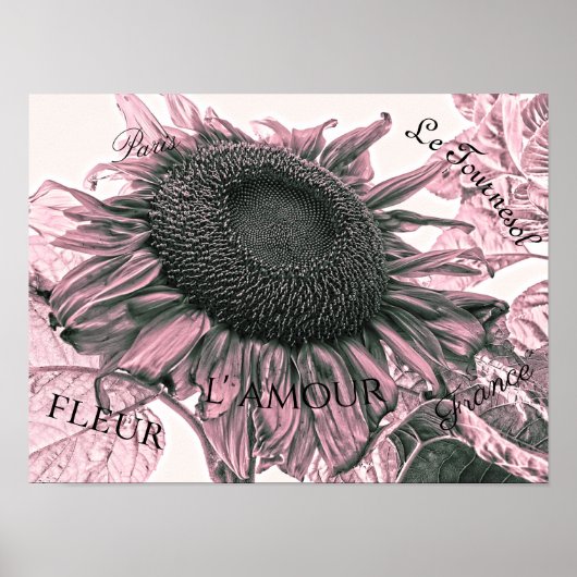 Giant Sunflower Blush Pink Script Art Poster (Voorkant)