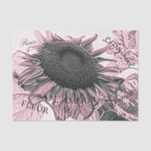 Giant Sunflower  Blush Pink Script Art