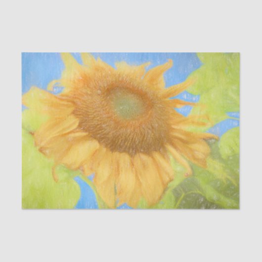 Giant Sunflower Country Soft Yellow Sketch Art Tissuepapier (Voorkant)