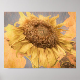 Giant Sunflower Country Yellow Grey Decoupage Art Poster