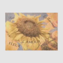 Giant Sunflower Country Yellow Grey Script