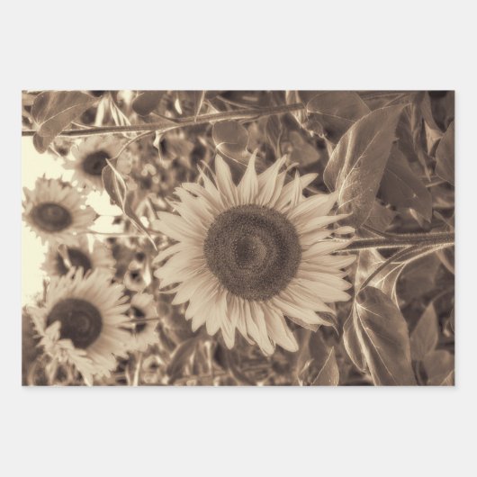Giant Sunflower Field Sepia Decoupage Inpakpapier Vel (Voorkant)