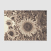 Giant Sunflower Field  Sepia Decoupage Tissuepapier (Voorkant)