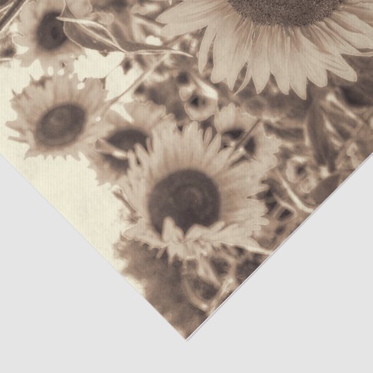 Giant Sunflower Field Sepia Decoupage Tissuepapier (Detail)