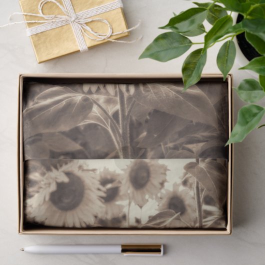 Giant Sunflower Field Sepia Decoupage Tissuepapier (Geschenk)