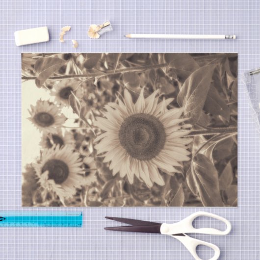 Giant Sunflower Field  Sepia Decoupage Tissuepapier (Craft)